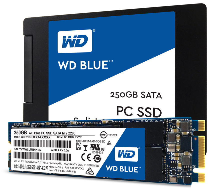 Die WD Blue ist wahlweise auch als M.2-2280-Modul erhältlich.